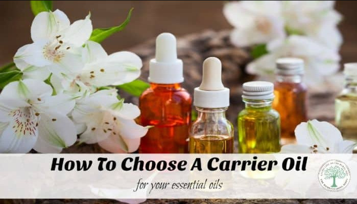 Carrier oil vs Vegetable oil