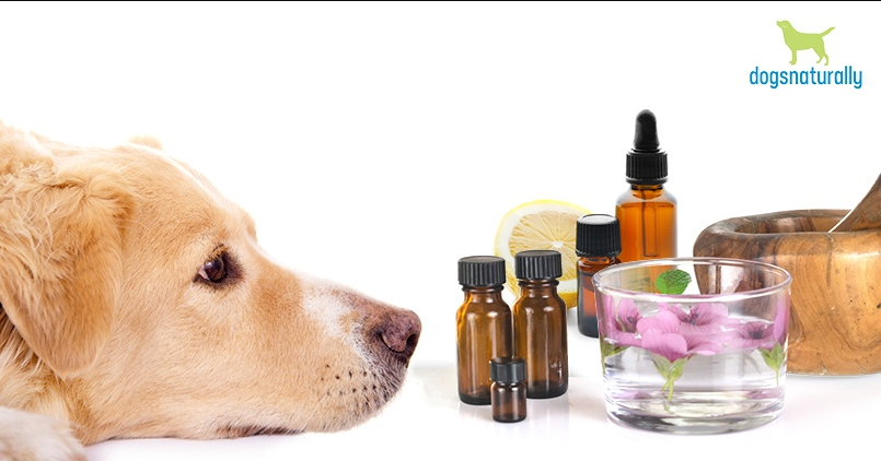 The Best Essential Oils
